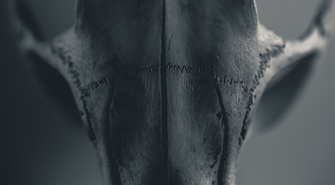 Is Death to be Feared or Embraced?